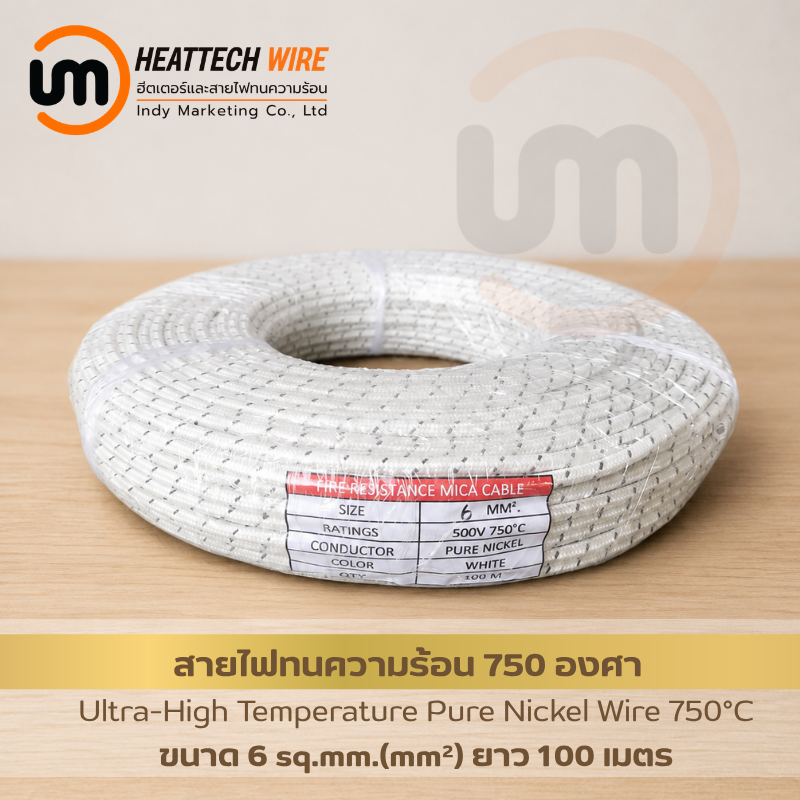 สายไฟทนอุณหภูมิสูงพิเศษ 750°C 6mm²
